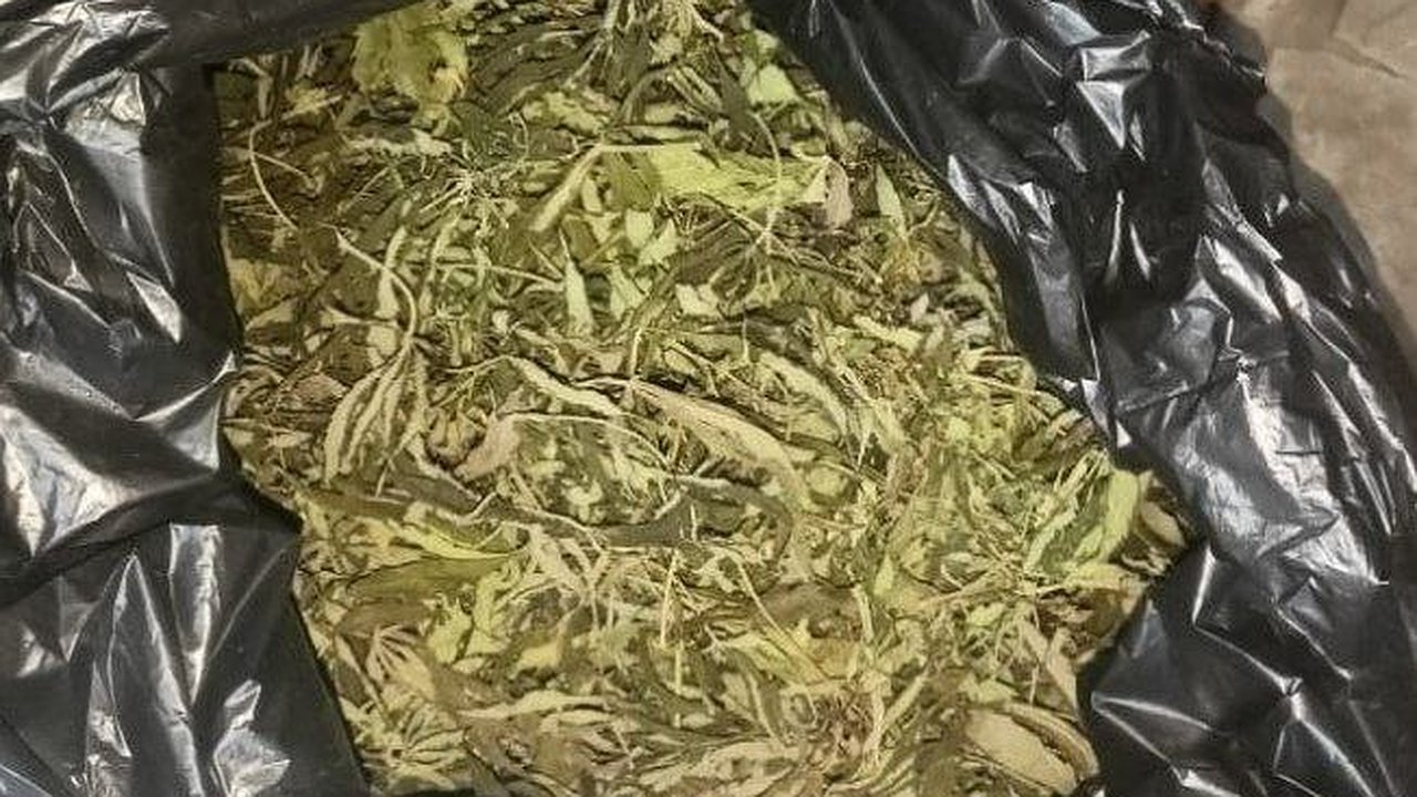 Главная картинка новости: Полицейские задержали жителя Воронежской области с «запасом» наркотиков