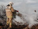 Для борьбы с пожарами в Воронежской области потребовалась помощь министра