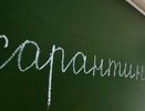 Директоры воронежских школ вовремя не отпустили детей на карантин 