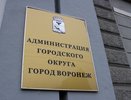 В Воронеже начали реализацию сразу двух пилотных проектов Центра стратегических разработок