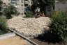 Миниатюра новости: Воронежские власти выбрали 48 общественных пространств для благоустройства