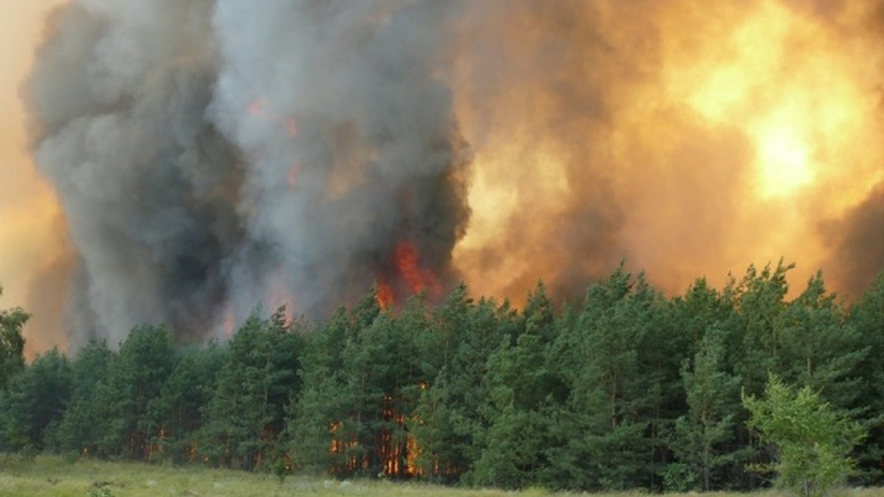 Главная картинка новости: Тридцать тысяч воронежцев живут в зоне повышенной опасности