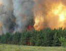 Тридцать тысяч воронежцев живут в зоне повышенной опасности