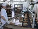 В Воронежской области создали базу местных поставщиков для участия в закупках