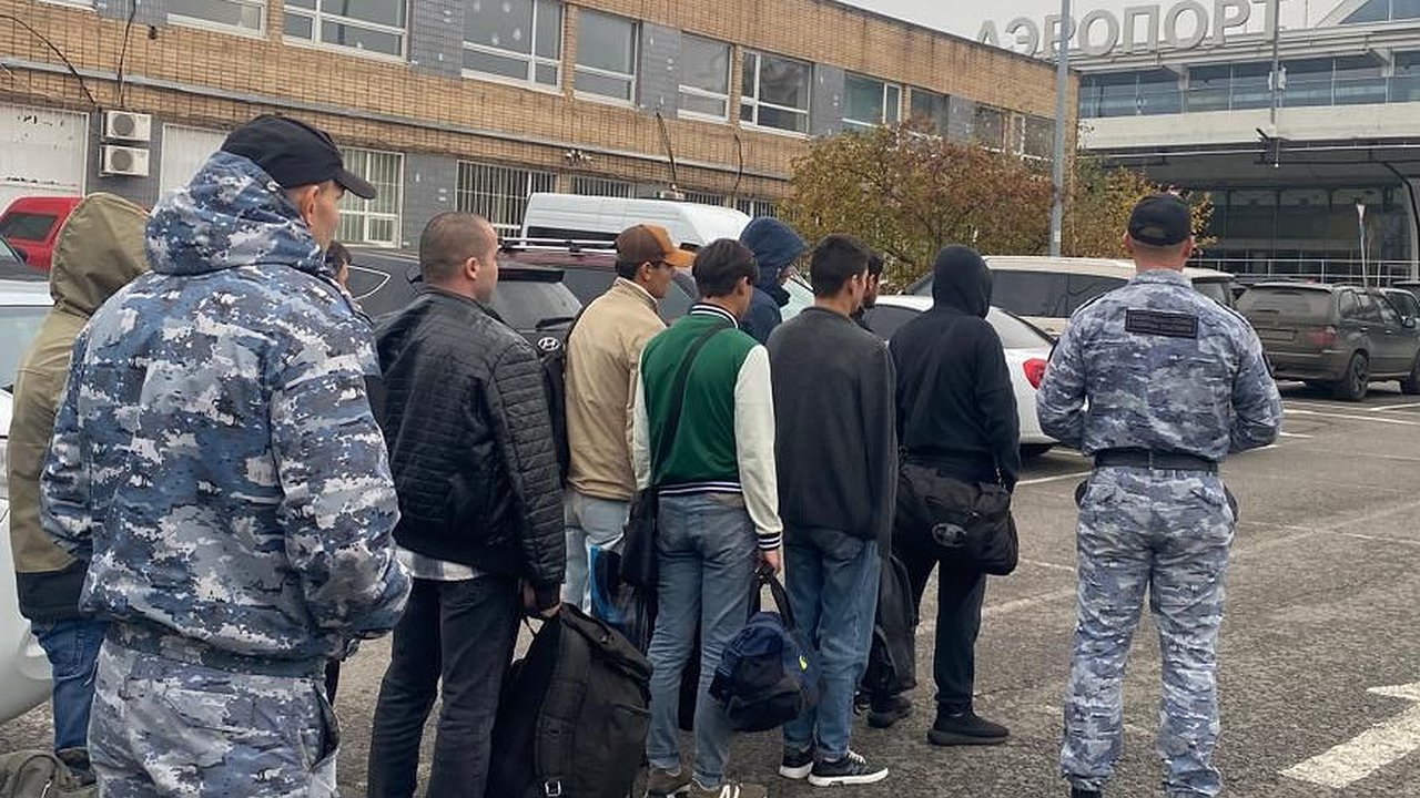 Главная картинка новости: 333 мигранта выдворили из Воронежской области