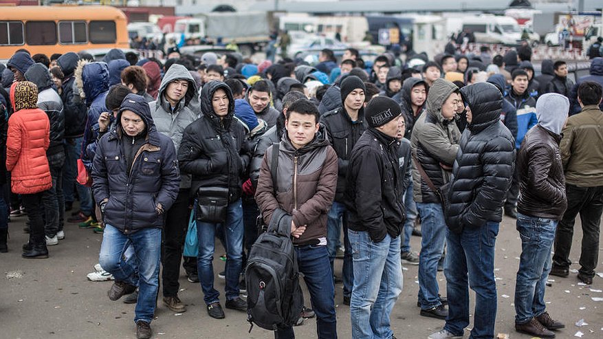 Главная картинка новости: Воронежской области установили квоту на мигрантов