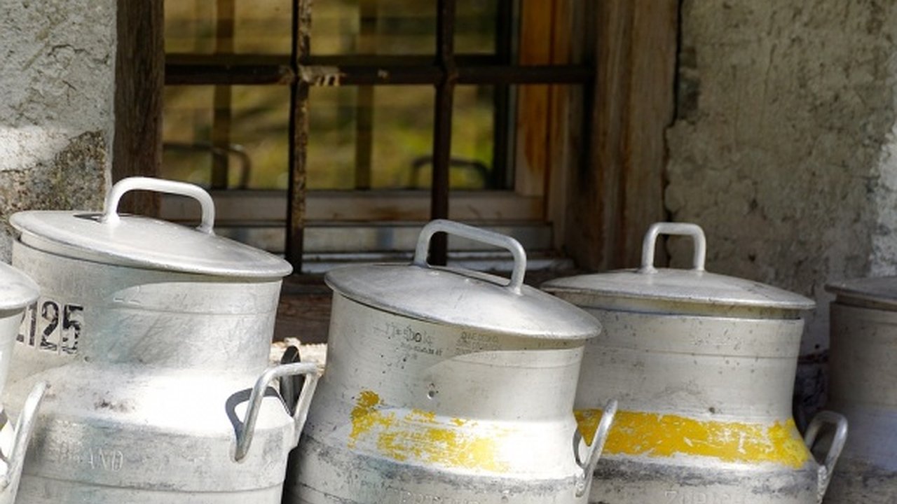 Главная картинка новости: Скандально известный в Воронеже Нальчикский молкомбинат попал под суд в Татарстане