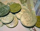 Воронежцам прописали прожить месяц на 8 563 рубля 