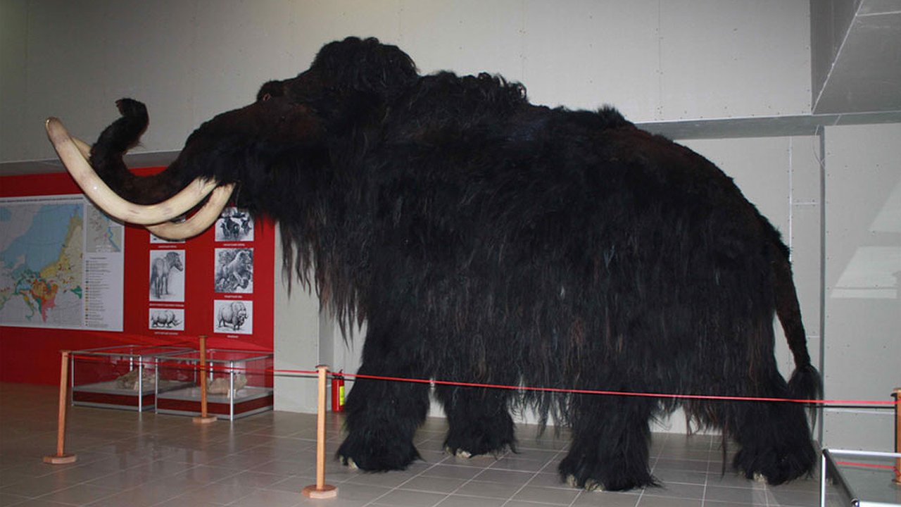 Главная картинка новости: Воронежский суд не вернул Виктору Ковалевскому должность директора «Костенок»