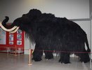 Воронежский суд не вернул Виктору Ковалевскому должность директора «Костенок»