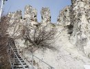 Воронежский музей-заповедник Дивногорье получит 5 млн рублей от Фонда Потанина