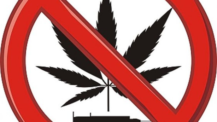 Главная картинка новости: Воронежцы не нуждаются в лёгких наркотиках 