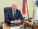 Владимир Просветов переизбран главой Нижнедевицкого района Воронежской области