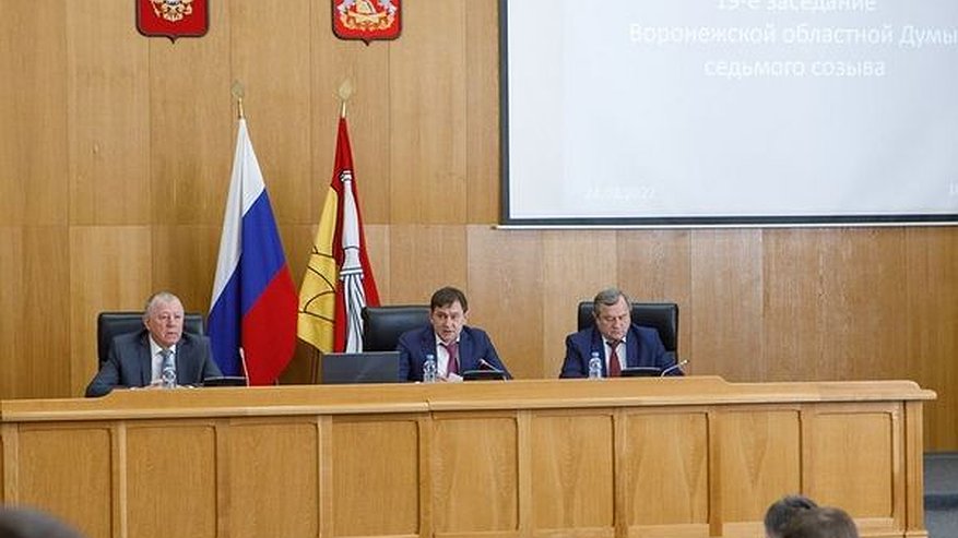 Главная картинка новости: Воронежская областная Дума приняла несколько законов для развития экономики и социальной сферы