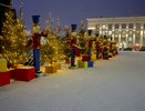 Воронежцы смогут посетить главную новогоднюю площадь города без QR-кодов