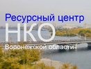 Президентский Совет нашёл слабые места воронежских НКО 