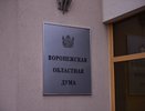 Дефицит казны Воронежской области произошел из-за избытка доходов