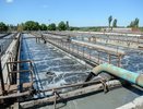 ЛОСы навредили Воронежскому водохранилищу на 726 млн рублей
