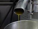 Воронежский маслозавод-банкрот «Эртильский» попробуют продать за 2,3 млрд рублей
