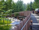 Реконструкцию воронежского парка «Орленок» приостановили 