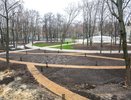 Торги на благоустройство воронежского парка сорвались из-за отсутствия победителя