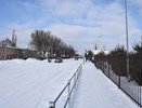«Отрада сердца моего»: в чем секрет воронежского поселка, получившего признание властей и местных жителей?