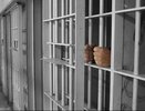 Воронежские следователи предъявили обвинение Любови Овчинниковой 