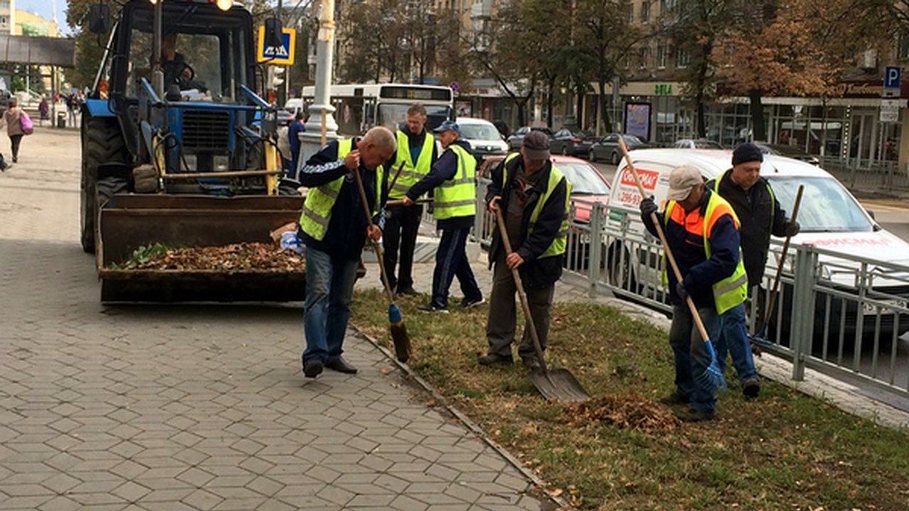 Главная картинка новости: Воронежскую компанию внесли в реестр недобросовестных поставщиков за срыв озеленения города