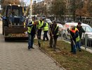 Воронежскую компанию внесли в реестр недобросовестных поставщиков за срыв озеленения города