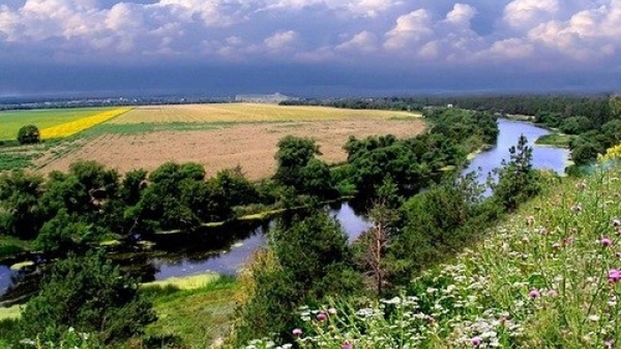 Главная картинка новости: Волна воронежского озера докатилась до уголовного дела