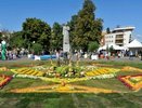 Перенос памятника Кольцову обойдётся Воронежу почти в 500 тысяч рублей 