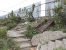 Воронежцы потребовали строительства перехода у остановки «Динамо»