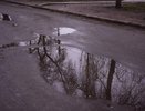 Чистым и ухоженным считают Воронеж лишь половина горожан 