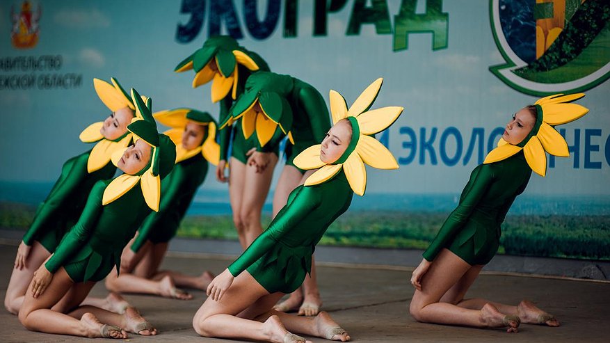 Главная картинка новости: «Звездный десант» устроит мастер-класс на воронежском «Экограде»