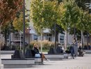 Воронежцы смогут проголосовать за общественные места для благоустройства