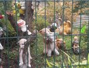 В детском лагере в Новоусманском районе выявили десять случаев заболевания кишечной инфекцией
