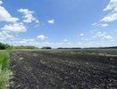 Незаконная распашка в Осиновых кустах «Солоти» привела к ущербу в размере 600 млн рублей