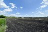 Миниатюра новости: Незаконная распашка в Осиновых кустах «Солоти» привела к ущербу в размере 600 млн рублей