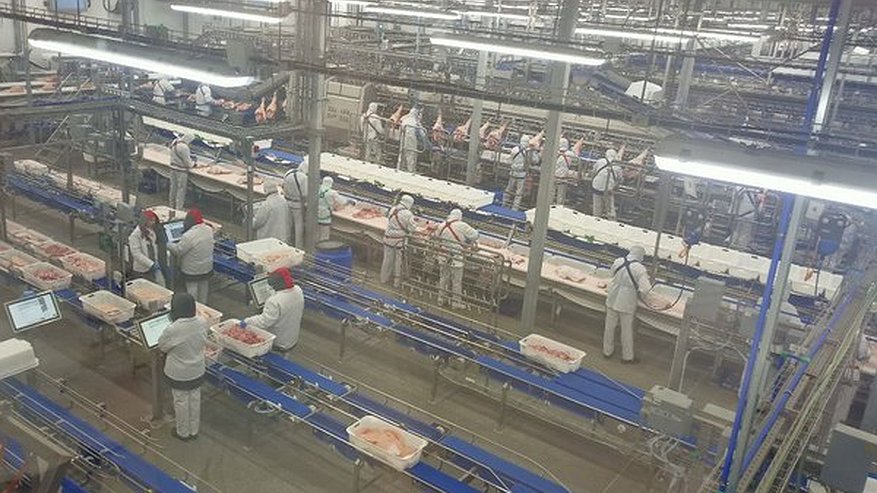 Главная картинка новости: Только щетина не для продажи