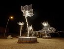 Охрана фестиваля «Город-сад» обойдется воронежцам в 4,73 млн рублей