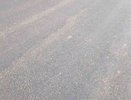Торги на проектные работы по строительству дороги в Воронежской области закончились двукратным обвалом цены