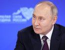 Владимир Путин назвал Воронежскую область «стабильной территорией»