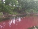 Река в районе Воронежской области окрасилась в красно-бурый