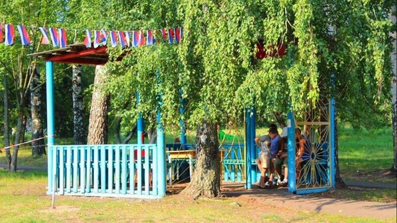 Главная картинка новости: Территории воронежских детских лагерей не будут использовать под жилую застройку