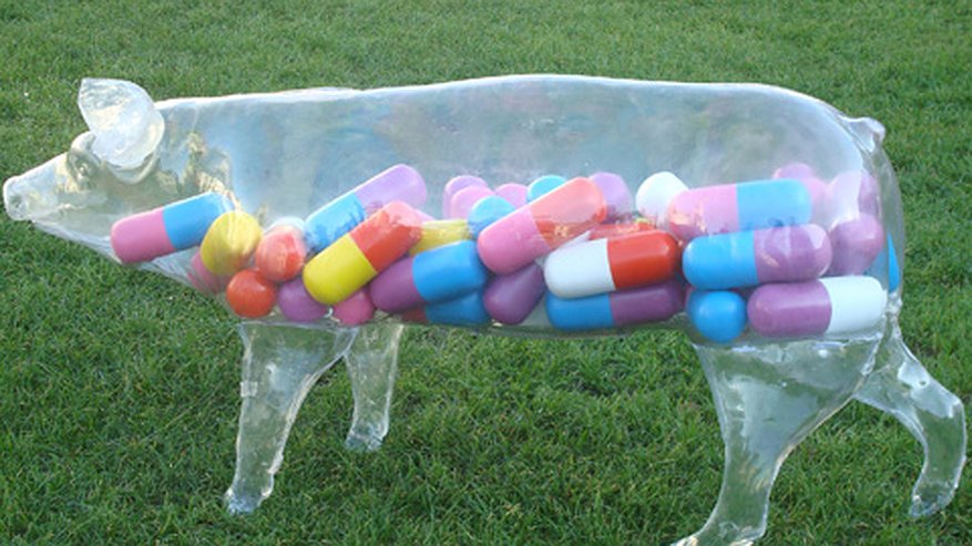 Главная картинка новости: Антибиотики - лекарство, но не еда для воронежцев 