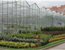 Попытка продать питомник воронежского лестеха снова провалилась 