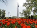 На площади Победы в Воронеже может появиться светомузыкальный фонтан