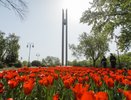 В Воронеже обновление площади Победы начнут в 2018 году 