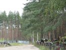 С воронежских кладбищ вывезли 475 вагонов мусора 