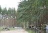 Миниатюра новости: С воронежских кладбищ вывезли 475 вагонов мусора 